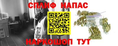 прущие крисы Моздок