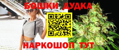 прущие крисы Моздок
