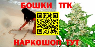 Альфа ПВП Можга