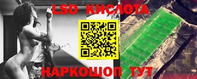 Альфа ПВП Можга
