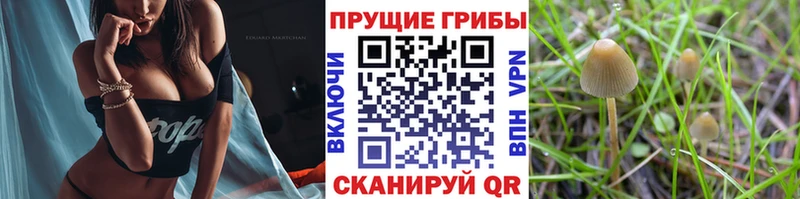 Псилоцибиновые грибы ЛСД  Беслан 