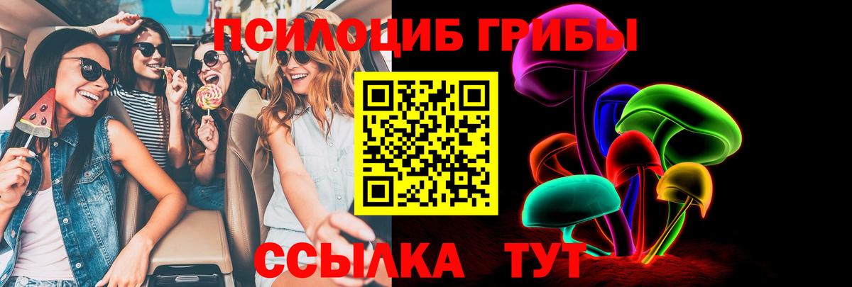 Беслан  Псилоцибиновые грибы Magic Shrooms  Вход с VPN 