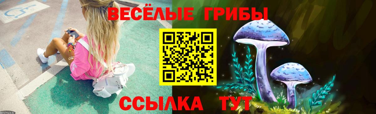 Галлюциногенные грибы Cubensis Беслан
